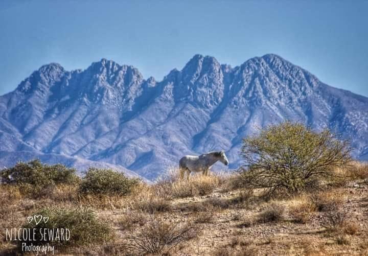 Rio Rancho Verde Two Bedroom Suite Scottsdale Zewnętrze zdjęcie