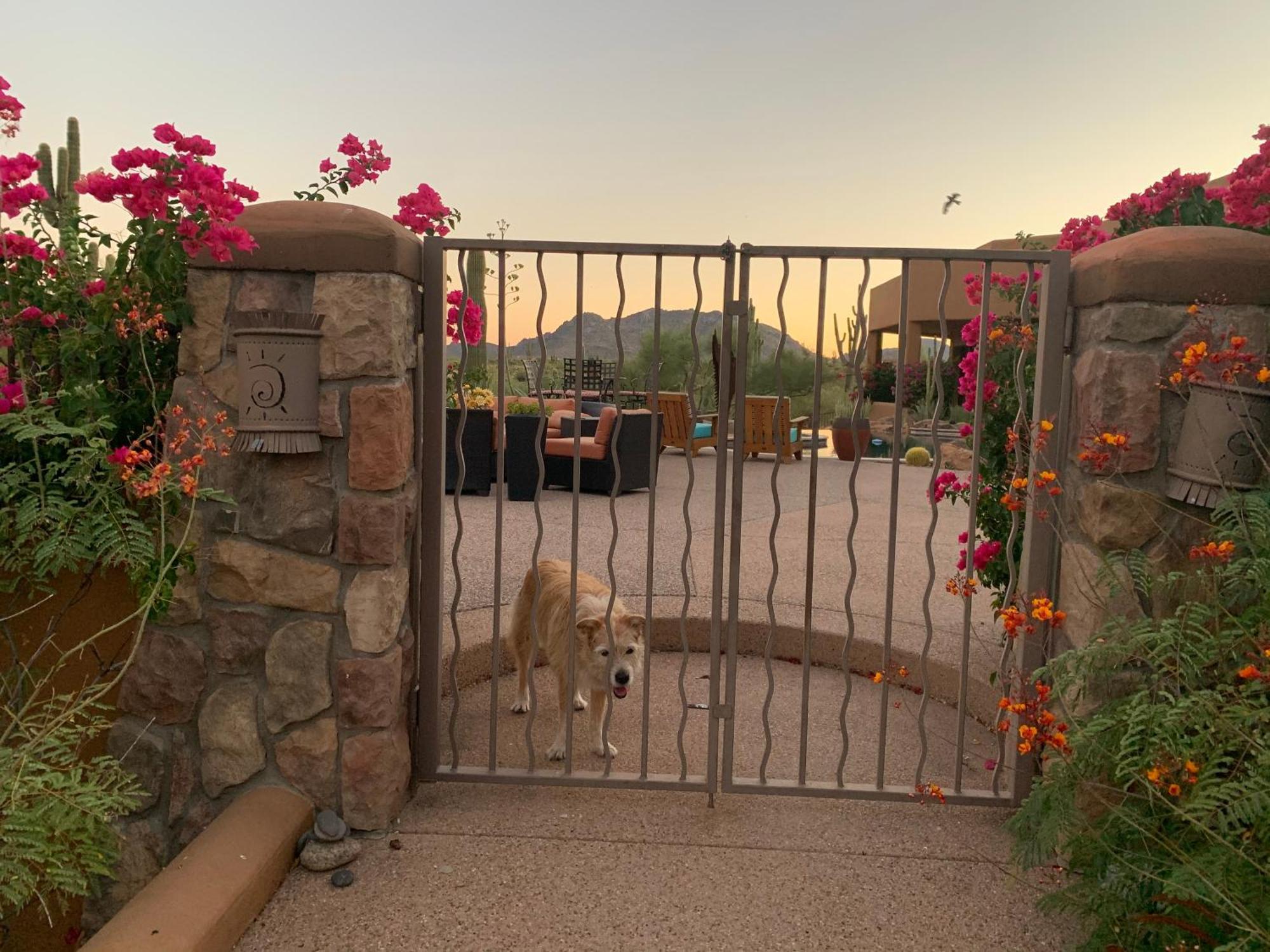 Rio Rancho Verde Two Bedroom Suite Scottsdale Zewnętrze zdjęcie